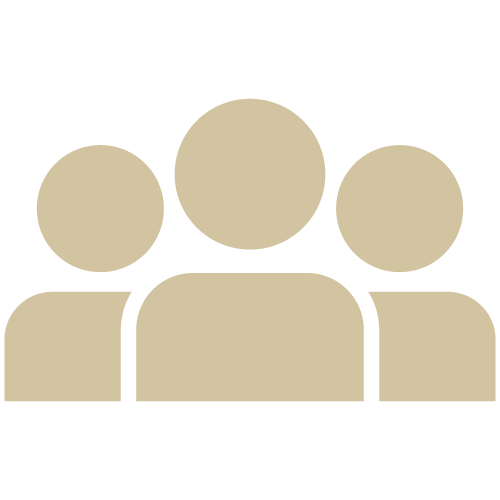 Race/ethnicity icon