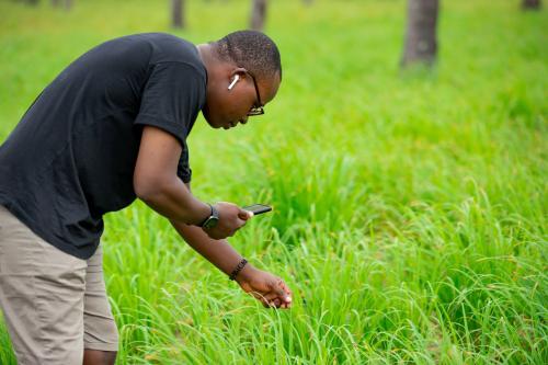 Digital solutions in agriculture drive meaningful livelihood improvements for African smallholder farmers